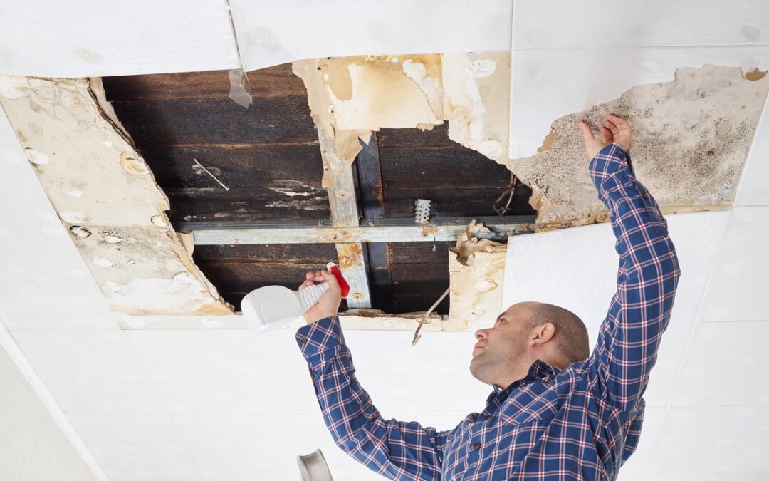 Mold No More – 5 easy Tricks to Get Rid of House Mold