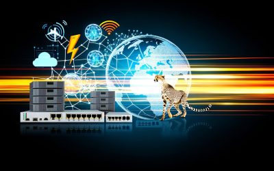 Broadband Internet: Understanding the Essentials