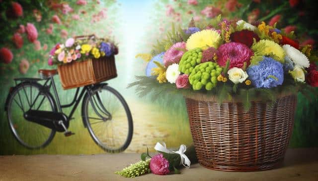 A bike with a basket full of colorful flowers, next to a large basket of vibrant flowers on a path surrounded by flower bushes.