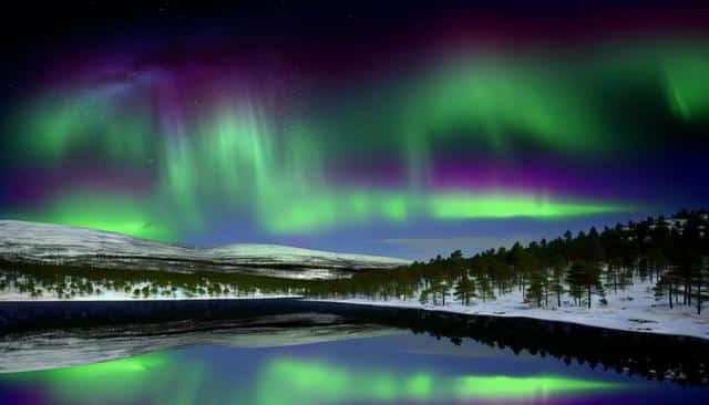 Vibrant green and purple Northern Lights over a snowy landscape with a dark, reflective lake and scattered trees.