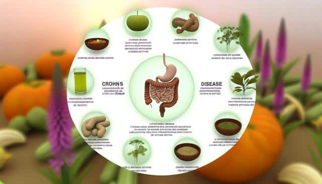 Anatomical diagram of the digestive tract surrounded by various foods and plants, with text descriptions.