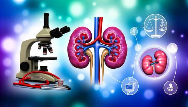 An illustration features a microscope, kidneys, stethoscope, and medical icons on a colorful, blurred background.