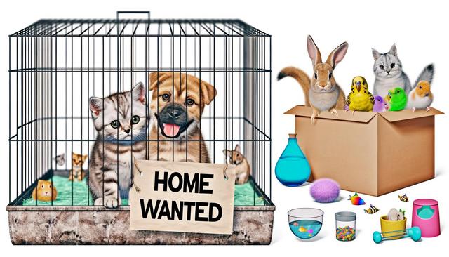 A variety of pets, including dogs, cats, a rabbit, a parakeet, and rodents, are in front of cages with "pet" and "adoption" signs.