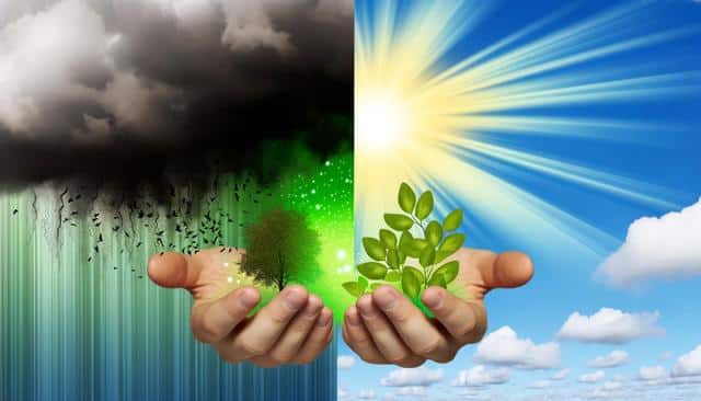 A hand holds a tree under stormy clouds on the left and a plant under sunny skies on the right.