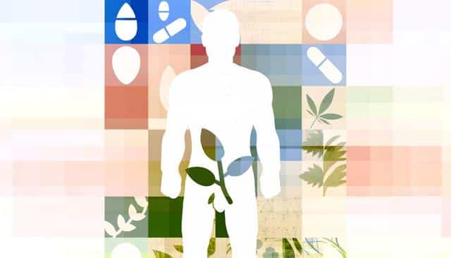 Silhouette of a person with plant elements on a colorful abstract background.