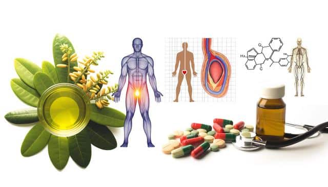 Herbal leaves, oil, human anatomy illustrations, pills, and a medicine bottle with a stethoscope.