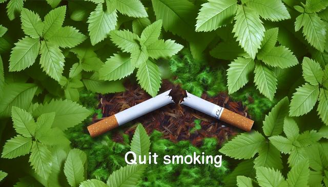 Green leafy background with a broken cigarette in the center and the text "Quit smoking" below.